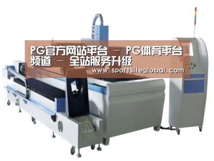 产品名称十一