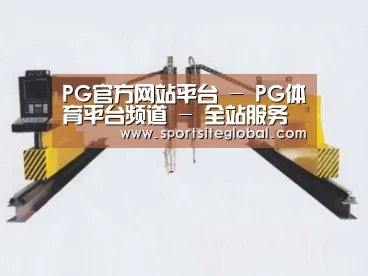 产品名称十八
