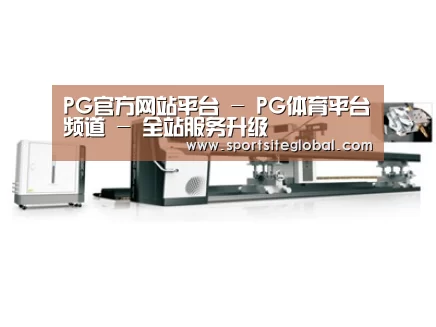 视频展示一
