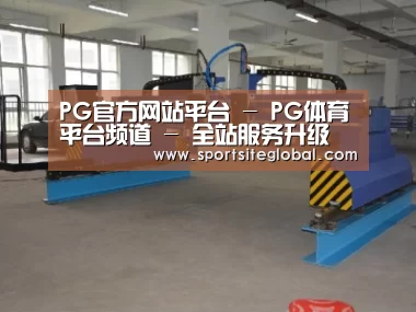 产品名称十九